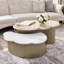 美式輕奢 大理石檯面 花瓣組合茶几 QJ尺寸待確認