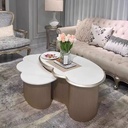 美式輕奢 大理石檯面 花瓣組合茶几 QJ尺寸待確認