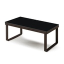 ZY-808茶几（長款）