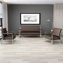 ZY-006沙發（不含茶几）