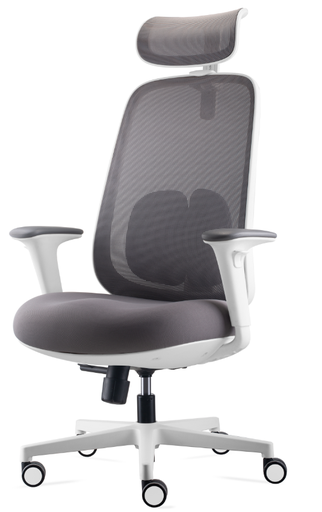 透氣網面 帶頭枕 雙腰靠 升降辦公椅JY-D269-米白框